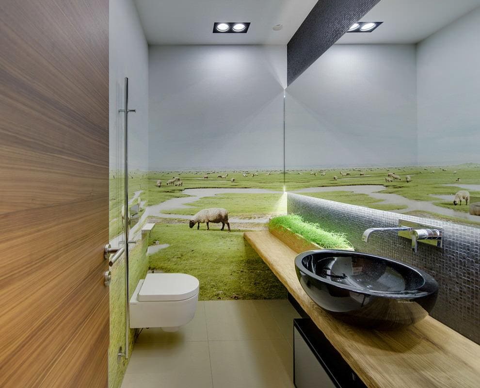 Дизайн туалетной комнаты в квартире с отделкой стен