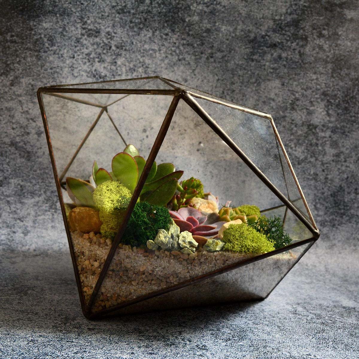 Флорариум: как создать искусственный садик в стеклянном сосуде